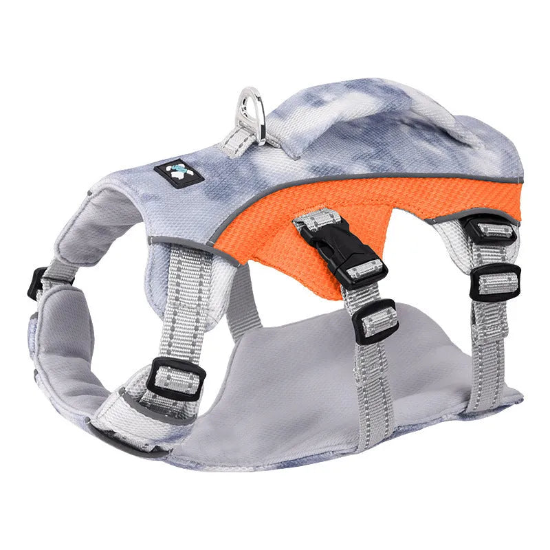 Reflective light blue polyester cooling vest and chest strap harness for a dog on a summer walk.