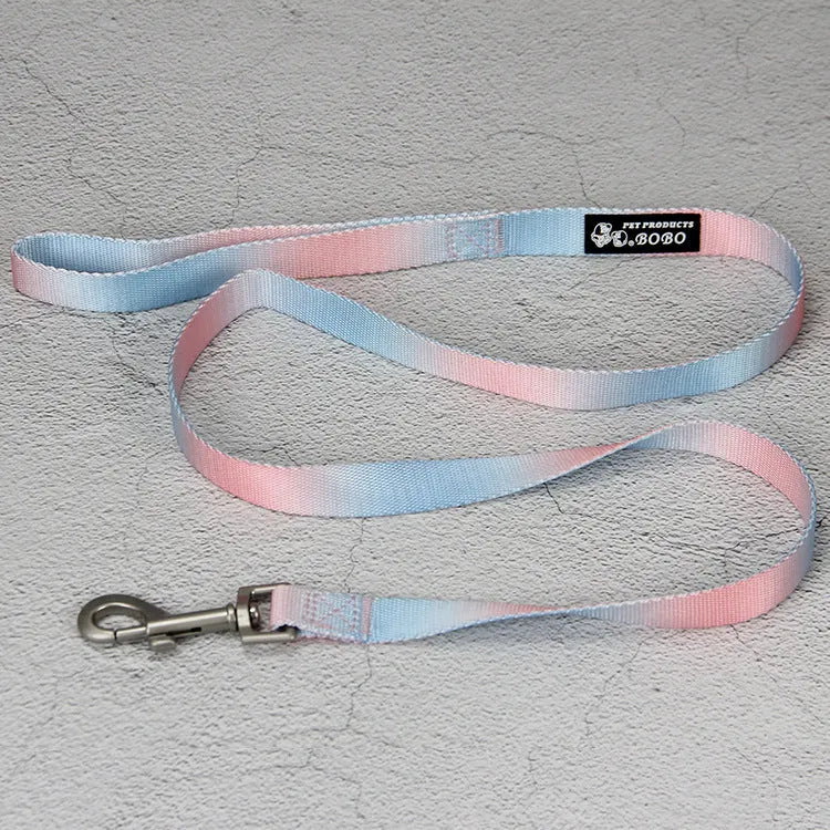 Gradient colour dog leash set showing pink and blue nylon collar and chest strap harness options