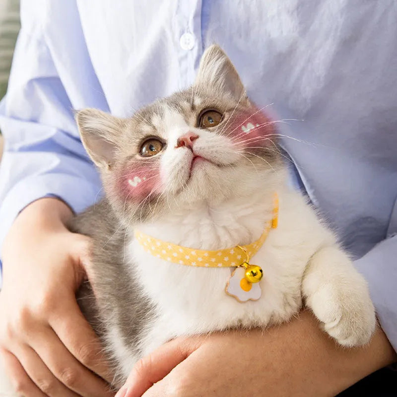 Green adjustable cat collar with a metal bell pendant and a matching bow tie on a white background.