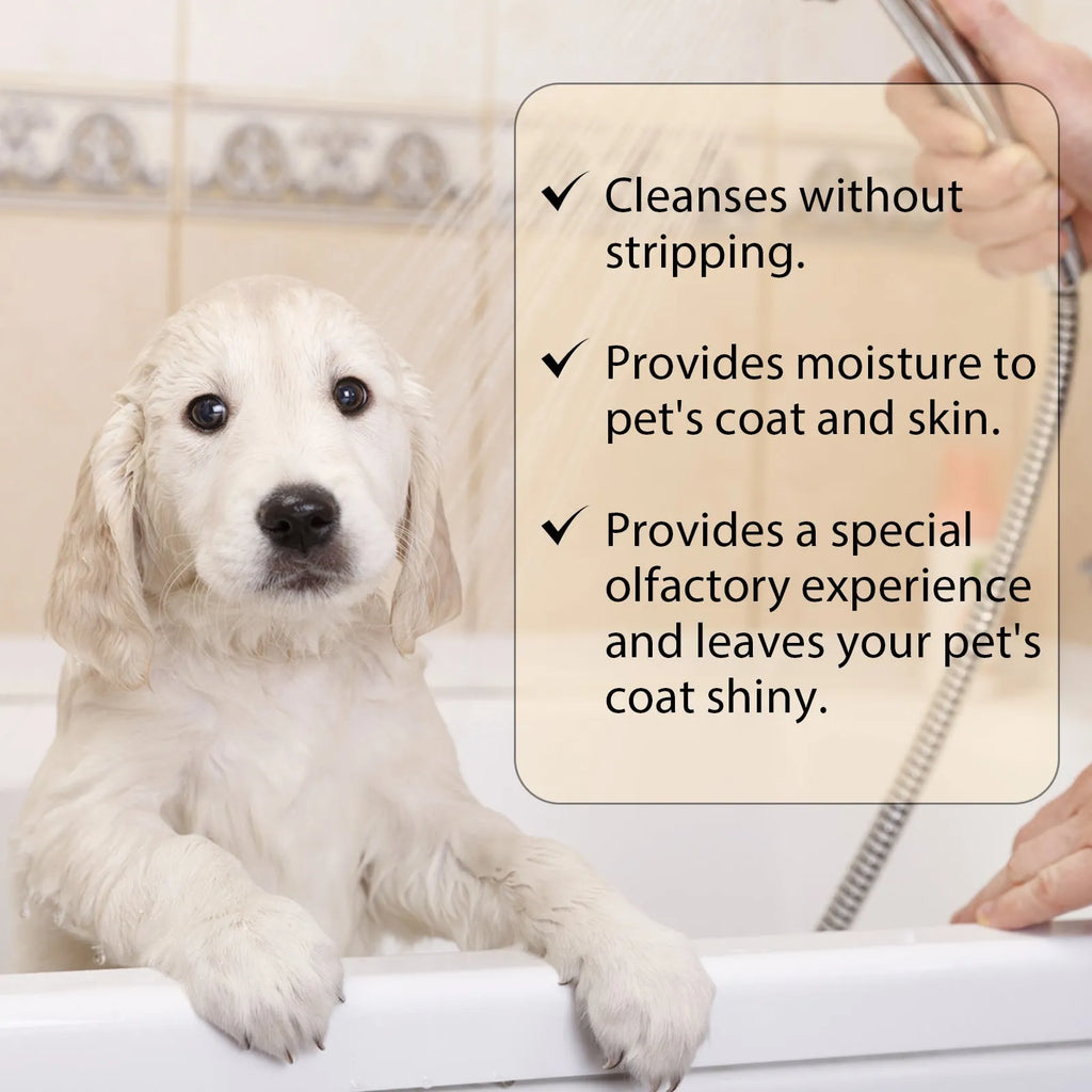 Bottle of mild pet shampoo for cats and dogs, shown in 100ml and 300ml sizes.