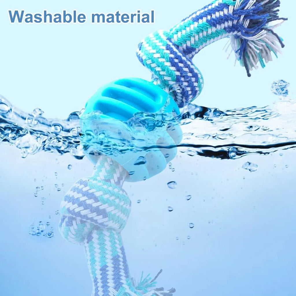 Blue molar-shaped dog chew toy with attached ropes for dental cleaning and tugging play.