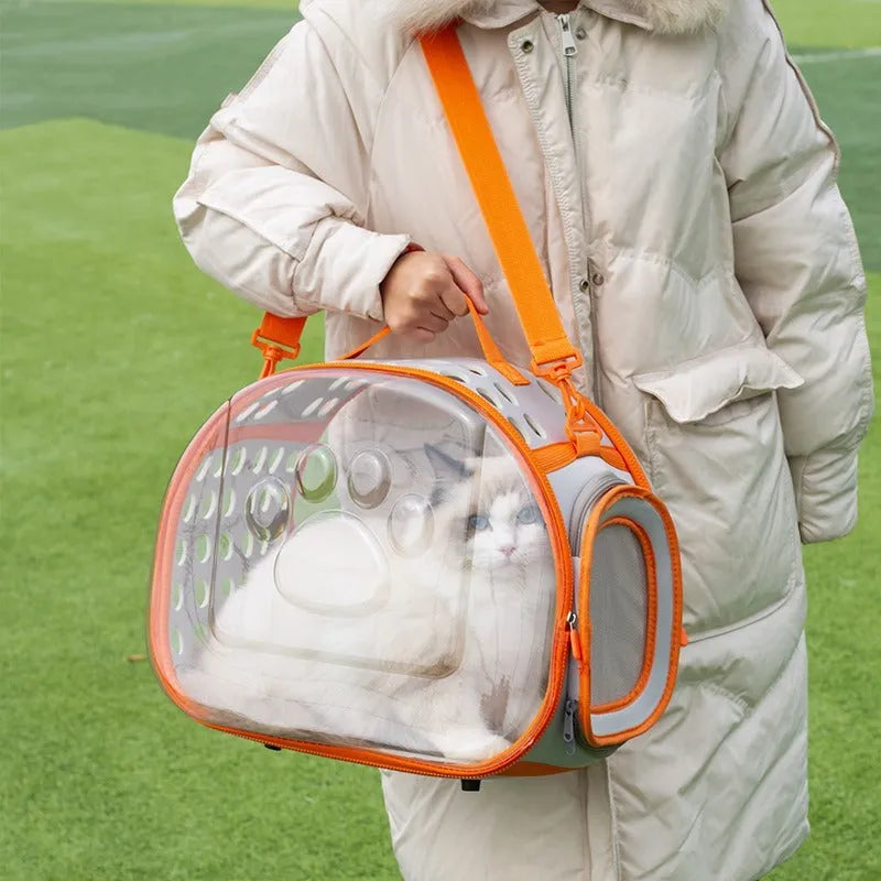 Transparent hard EVA cat backpack carrier in grass green colour with visible interior space