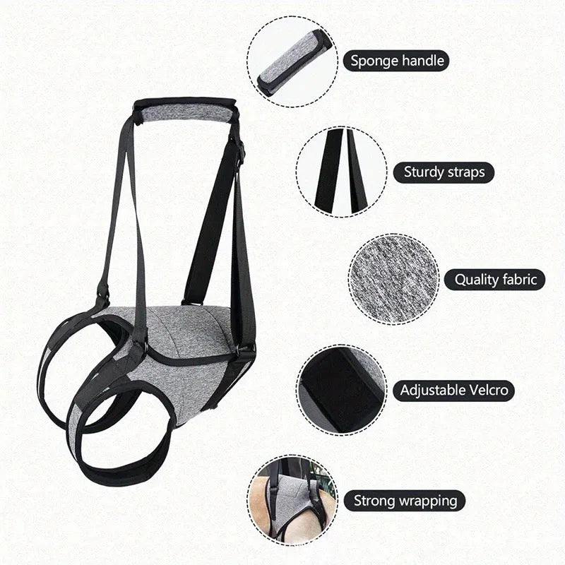 Grey neoprene dog rear leg recovery support belt showing sizing chart for S, M, L, and XL.