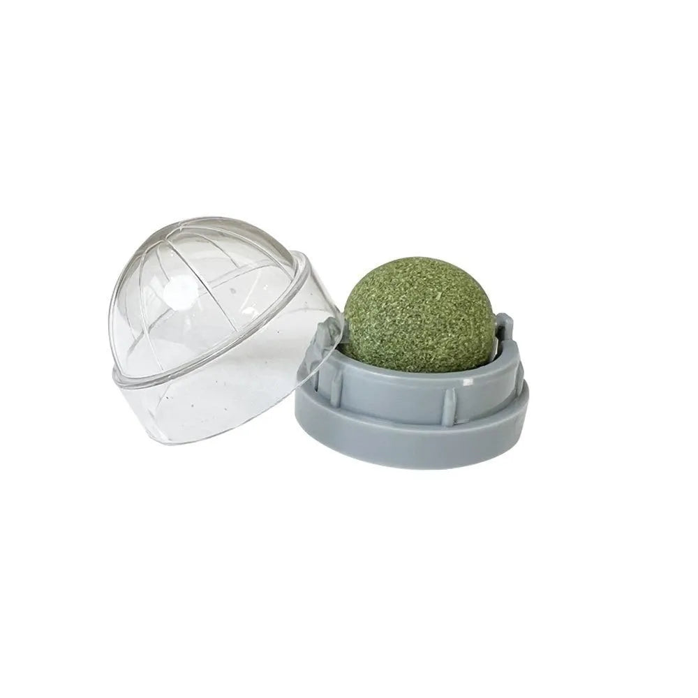 Plastic catnip ball toy in multiple colours for dental cleaning and stress relief