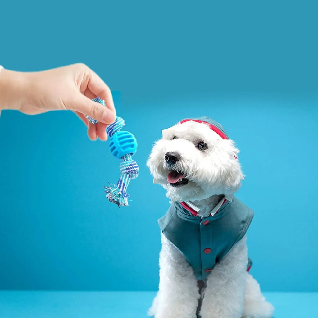 Blue molar-shaped dog chew toy with attached ropes for dental cleaning and tugging play.