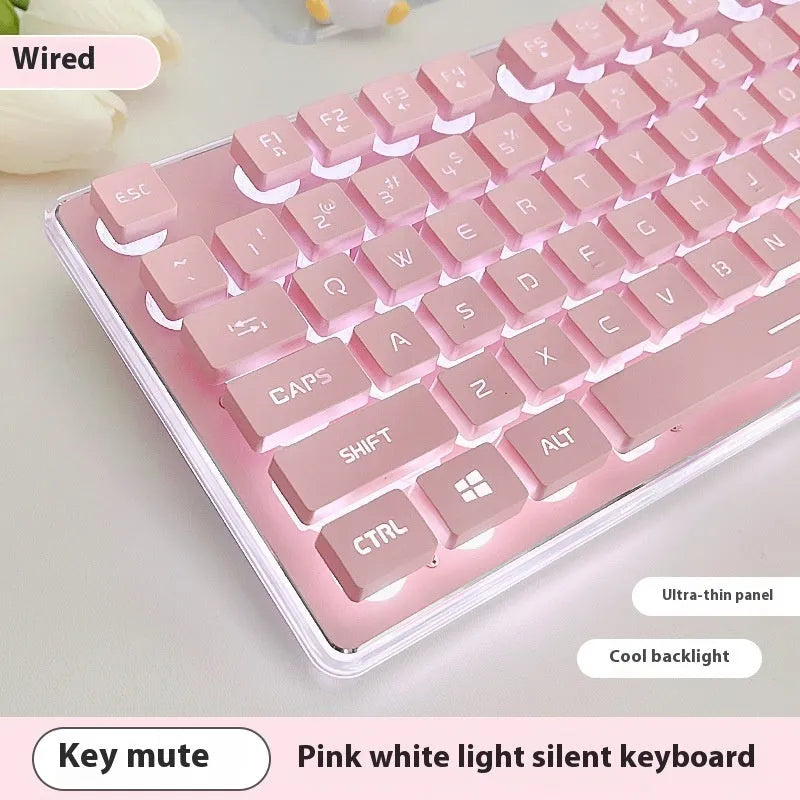 Wired mute keyboard with mechanical feel keys, shown in a Metal Black case with blue LED backlighting.