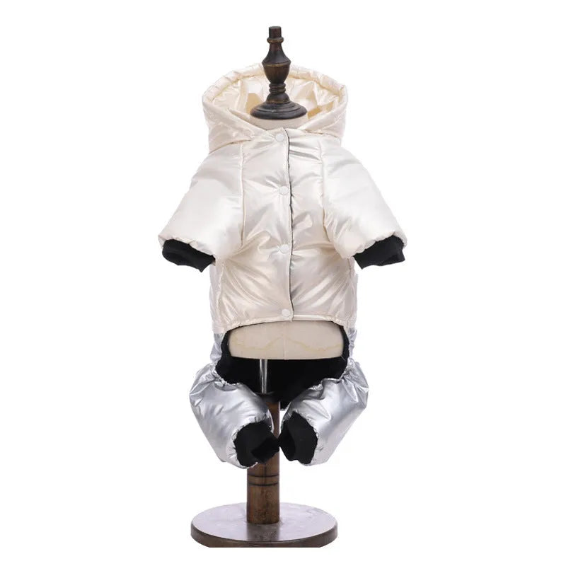 Green waterproof dog winter coat with cotton padding on small brown dog outdoors