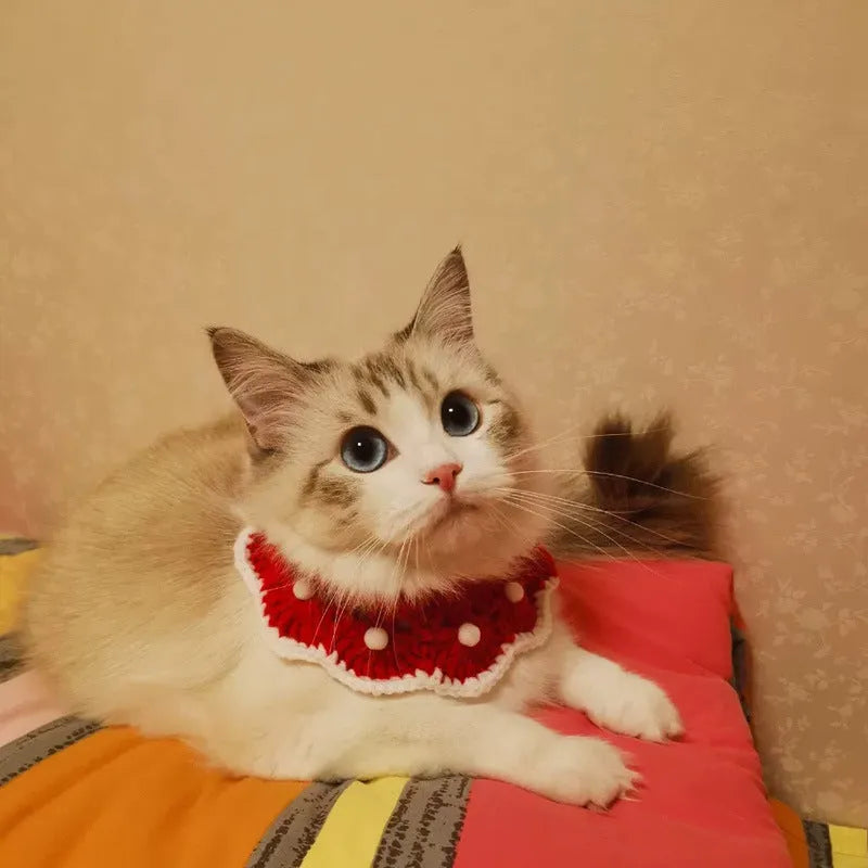 Handmade knitted pet collar in milk cotton with a cartoon pattern, shown in multiple sizes for cats, dogs, and rabbits.