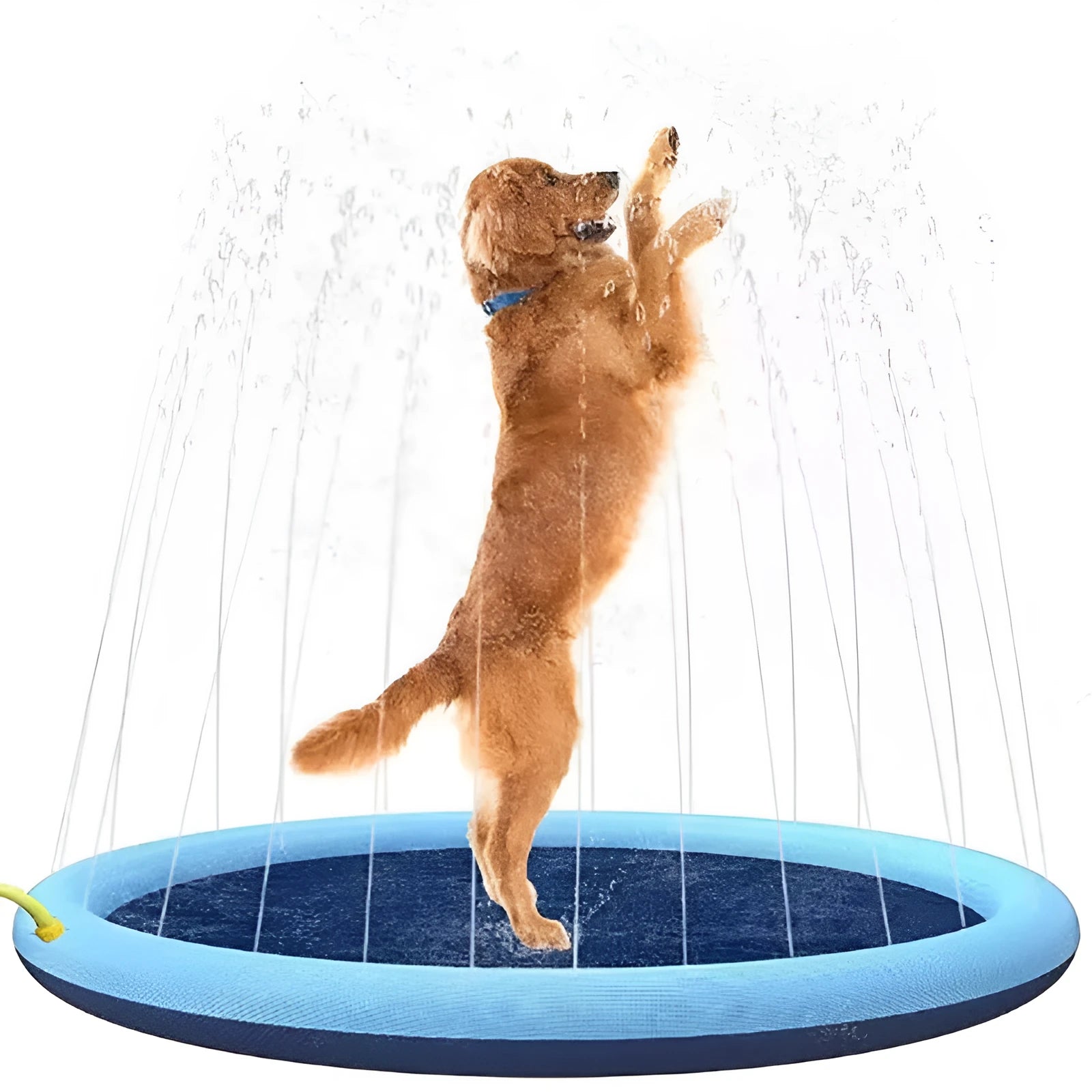 Dog playing on anti-slip inflatable splash pad with integrated sprinkler system outdoors