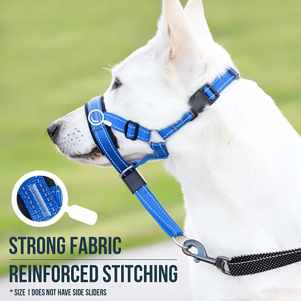 Nylon dog muzzle in blue, one of three available colours, for controlling biting and barking