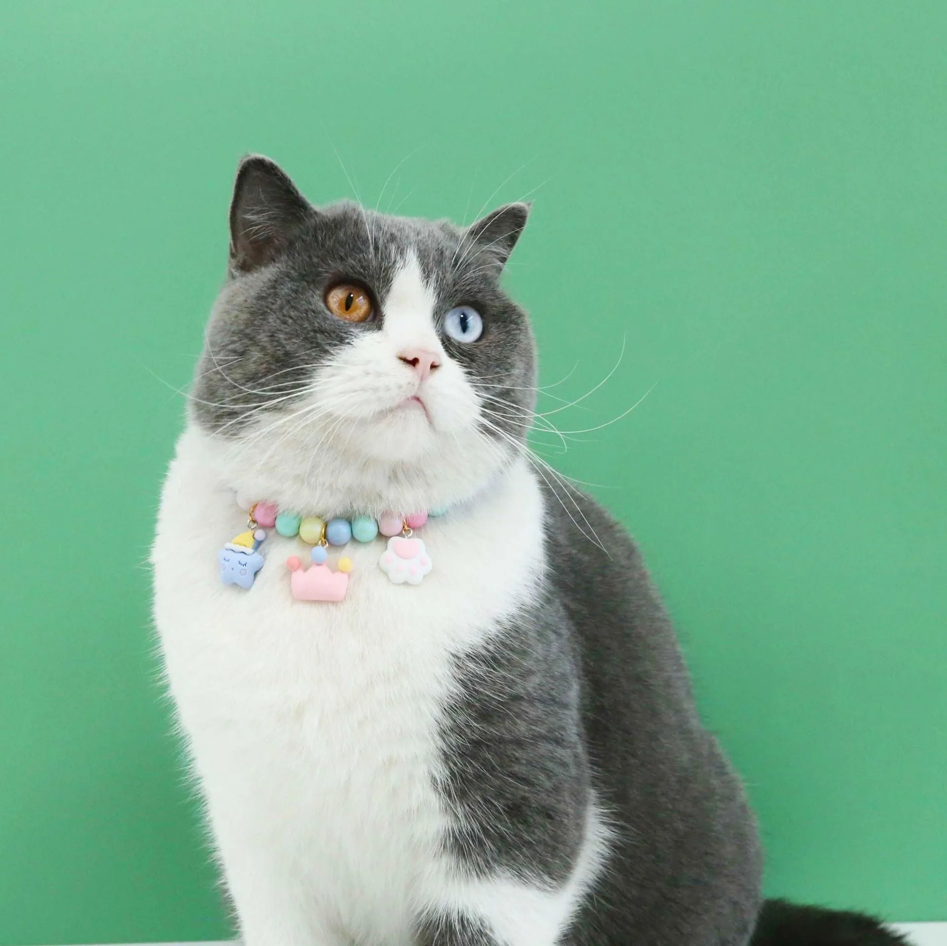 Pastel macaron charm pet collar with moon and rabbit designs on adjustable resin band for cats and dogs