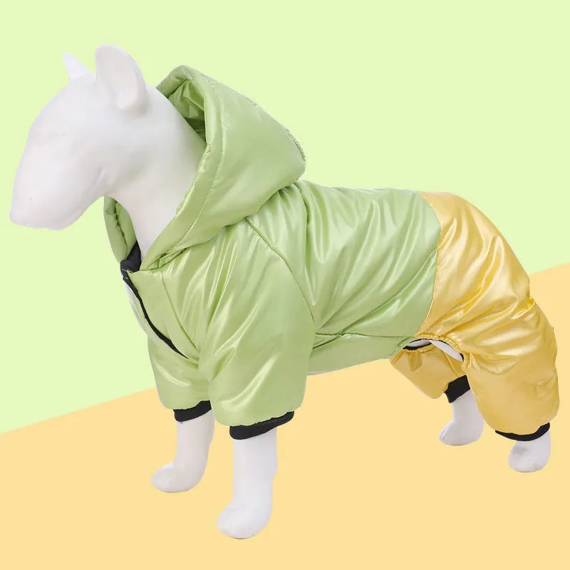 Green waterproof dog winter coat with cotton padding on small brown dog outdoors