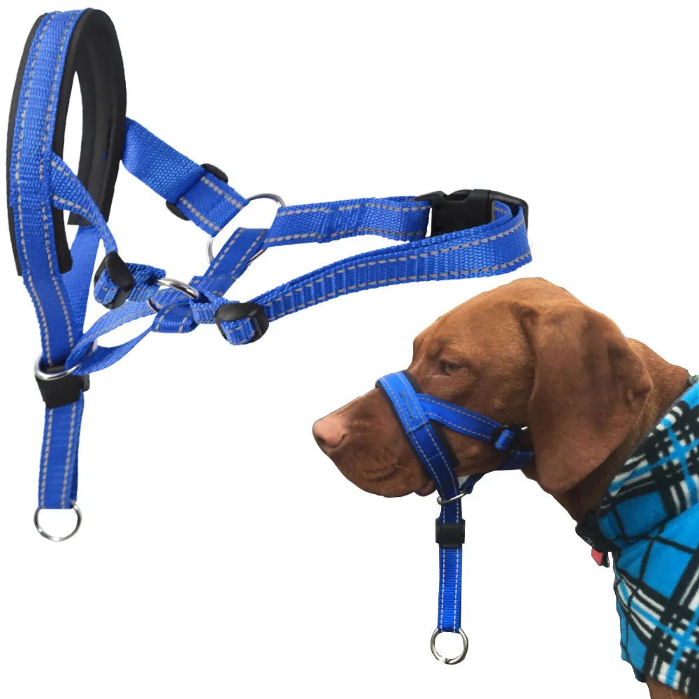 Nylon dog muzzle in blue, one of three available colours, for controlling biting and barking