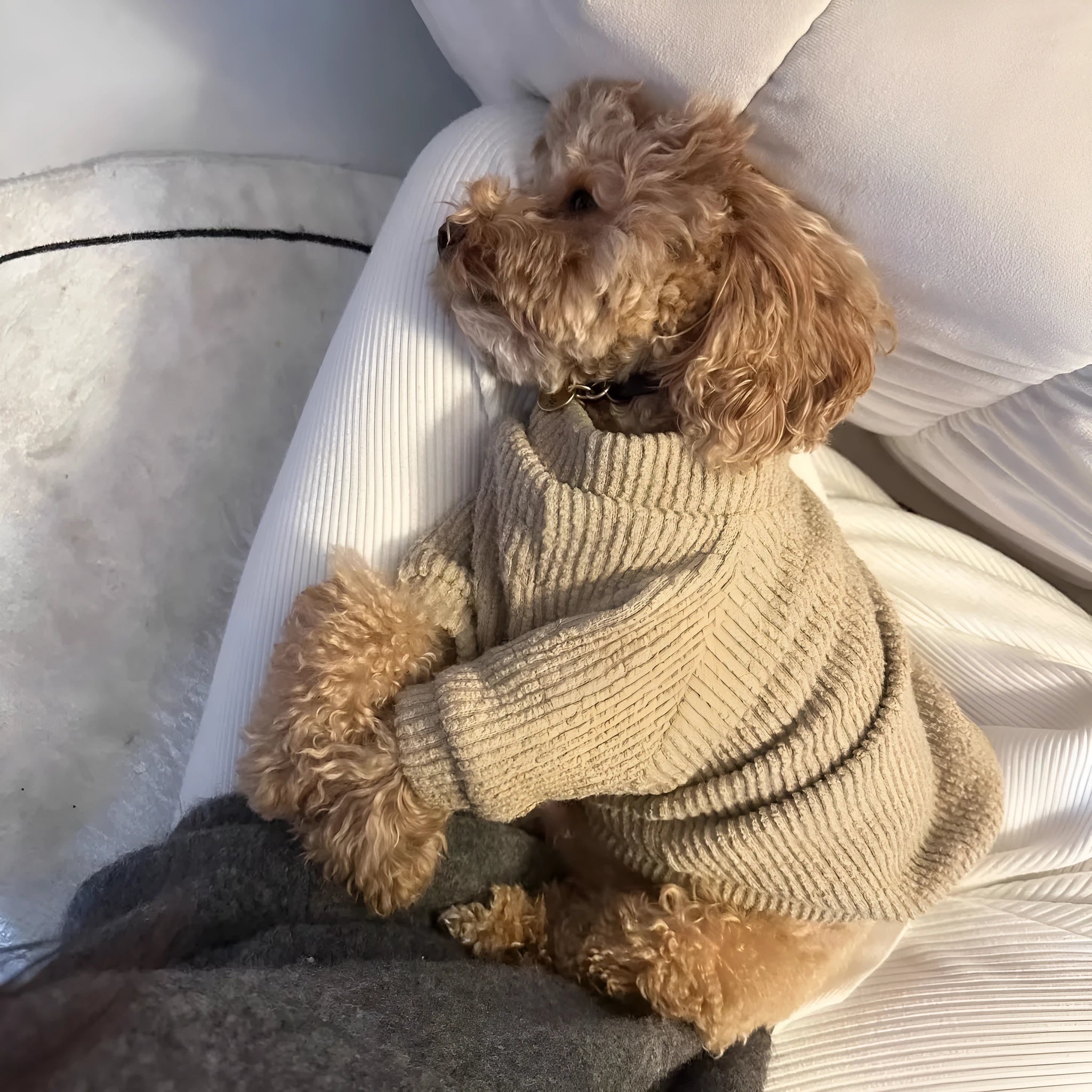 Brown knitted dog sweater pullover for small breed dogs on mannequin