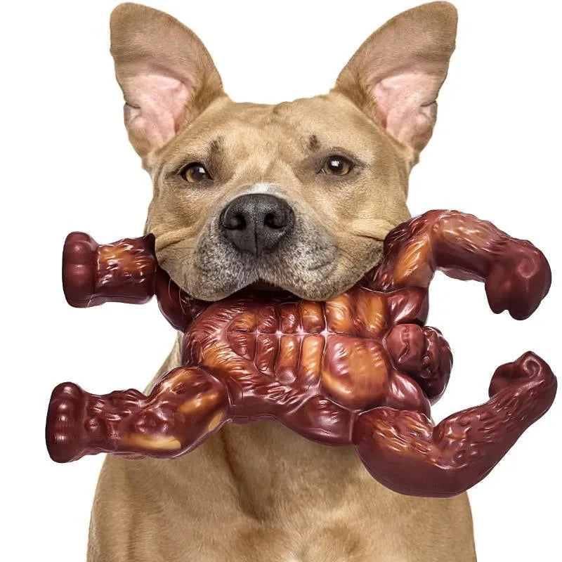 Scarlet beef-flavoured nylon dog molar chewing toy measuring 10.7x17.2x5cm