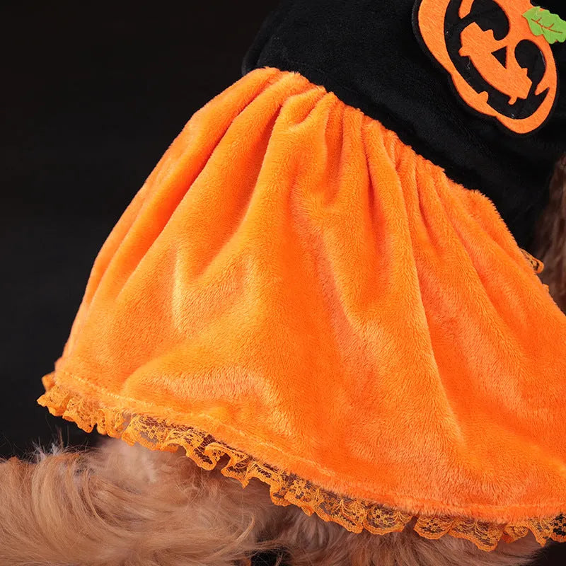 Halloween pet costume showing pumpkin skirt and sweater designs in crystal velvet for dogs and cats