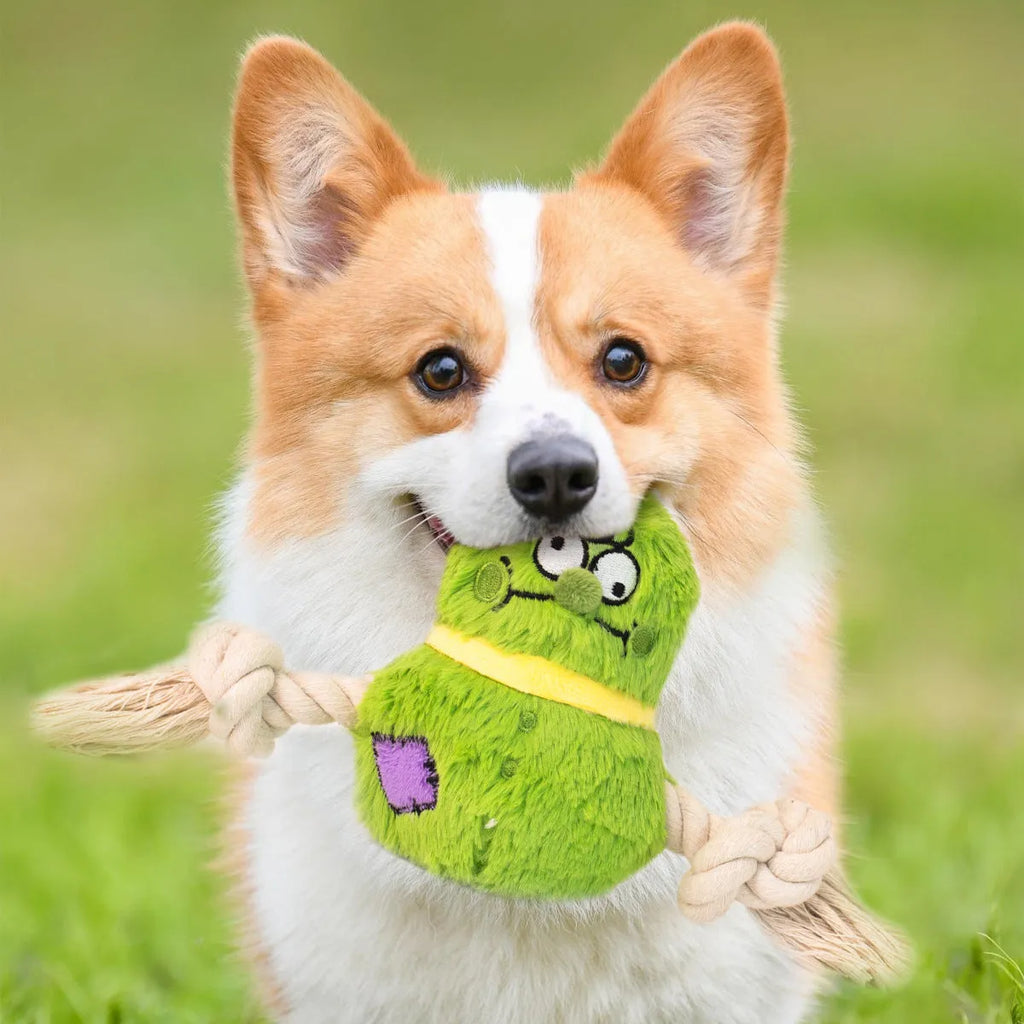 Green interactive dog toy with plush rope knot and white molar tooth chew element