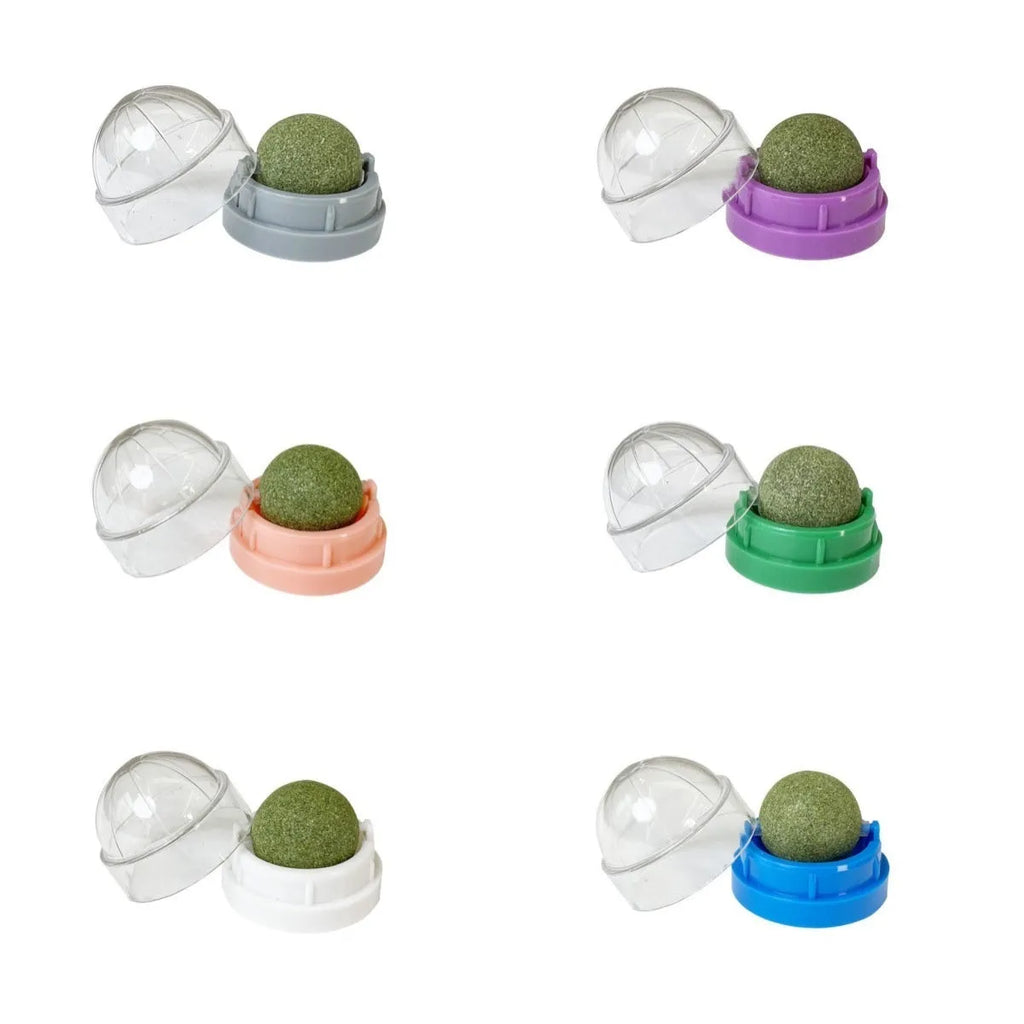 Plastic catnip ball toy in multiple colours for dental cleaning and stress relief