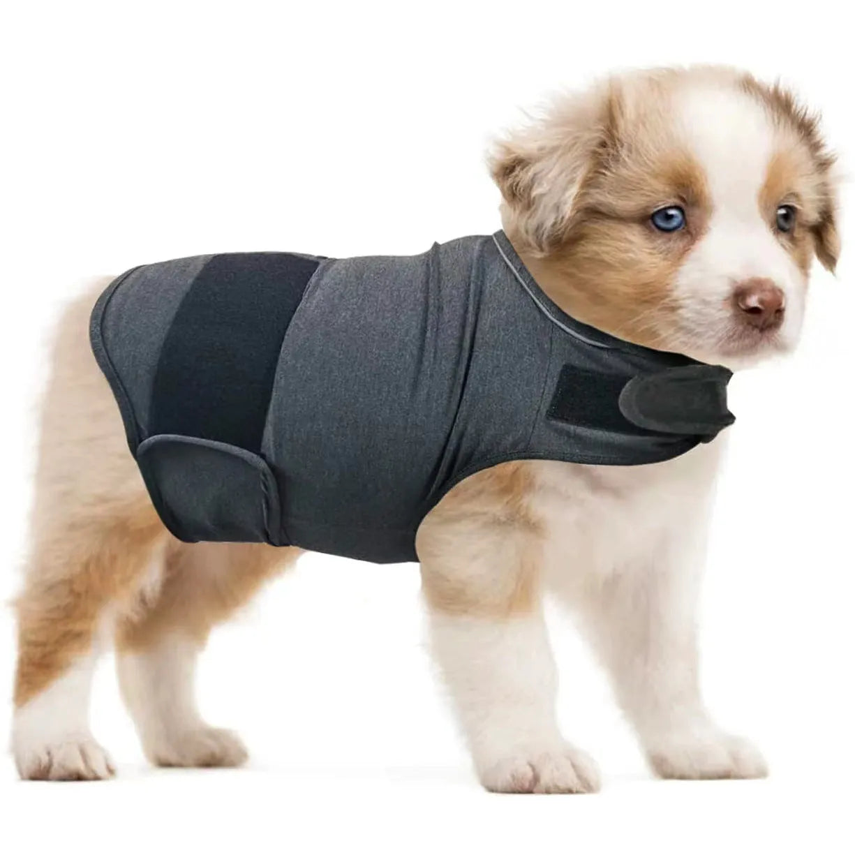Brown brocade cotton dog anxiety tank top on a model dog, showing the casual tank top style.