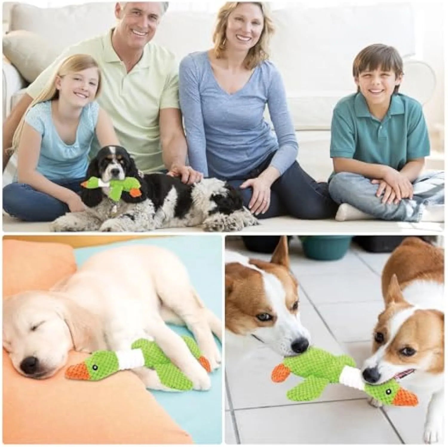 Blue, green, and grey duck-shaped durable dog plush toy with squeaker for chewing and play