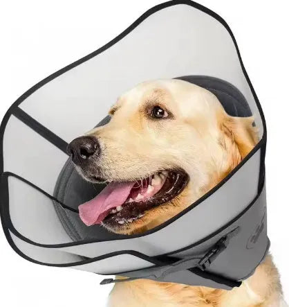 A polyester pet sterilisation collar ring in an adjustable anti-bite design for dogs and cats.
