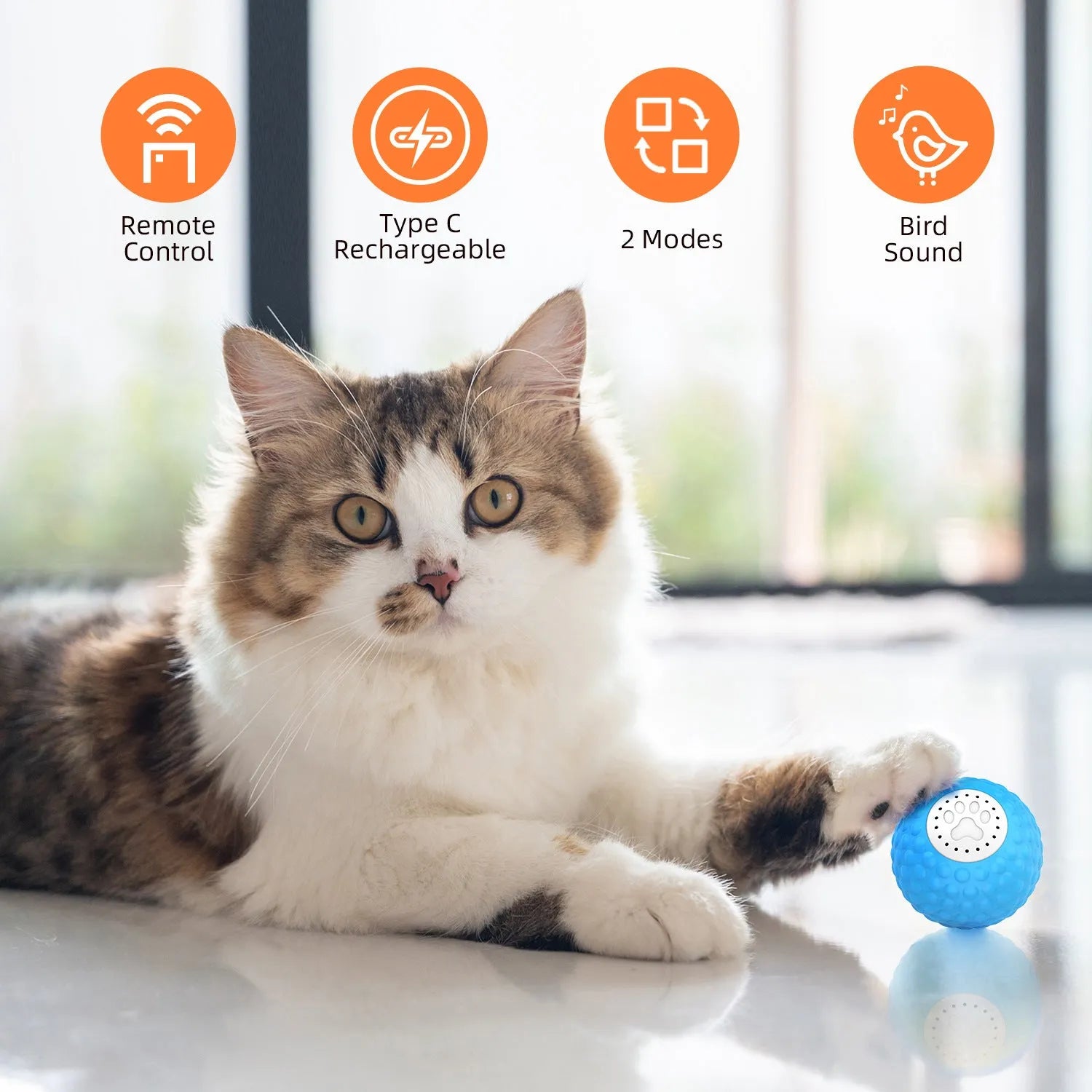 Remote control cat toy ball in blue, green and yellow colours with sound features