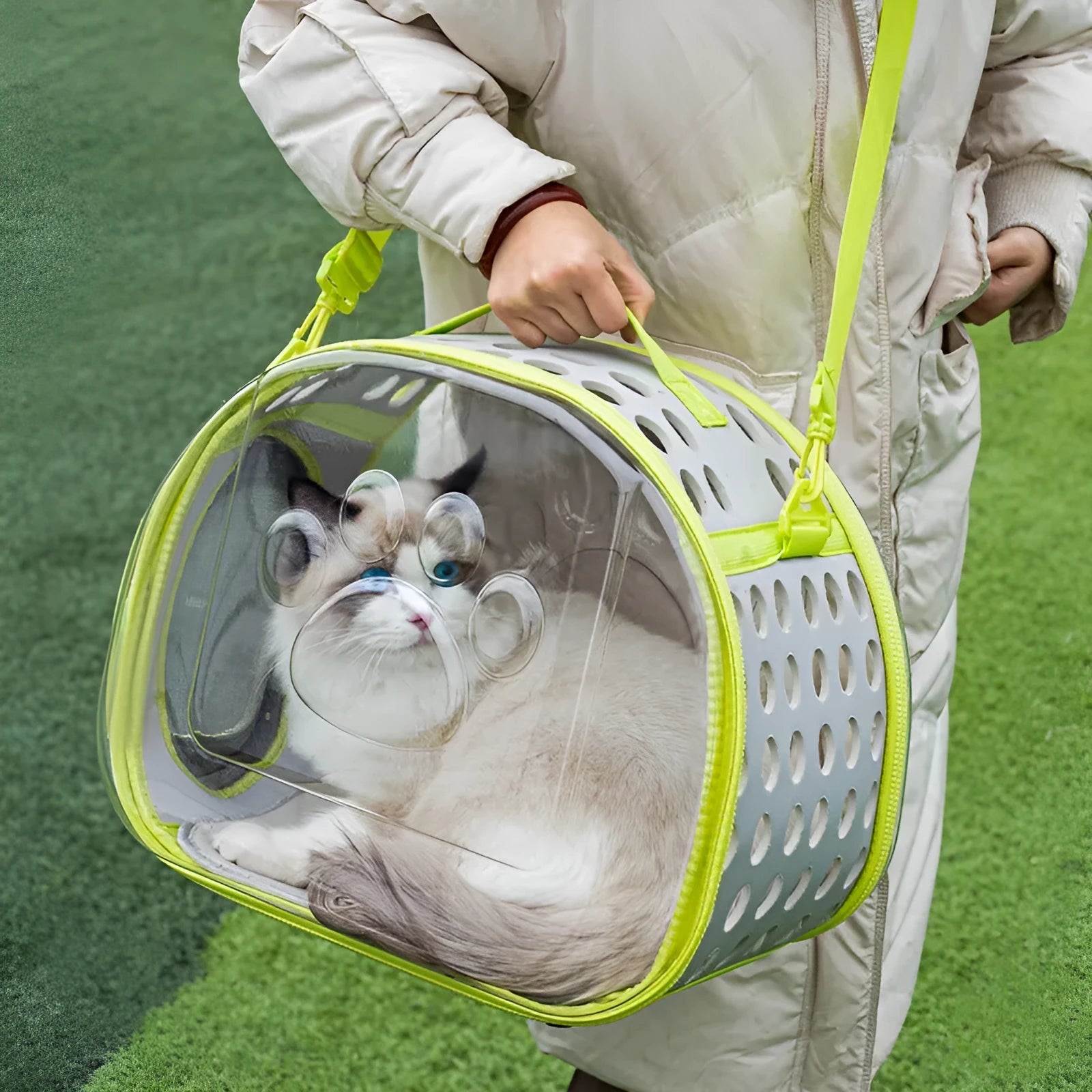 Transparent hard EVA cat backpack carrier in grass green colour with visible interior space