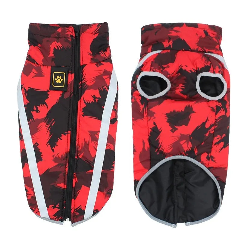 Large dog wearing a thick reflective polyester jacket in a graffiti print design for night safety.