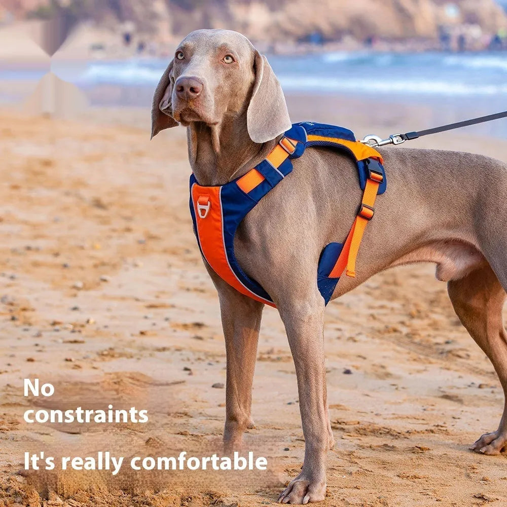 Orange blue nylon dog vest harness showing chest strap and back attachment points for secure pet control