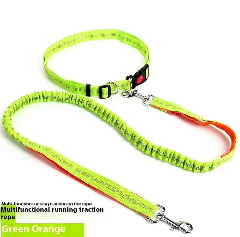 Grey and green reflective elastic dog running leash with a 2.5cm wide nylon strap.