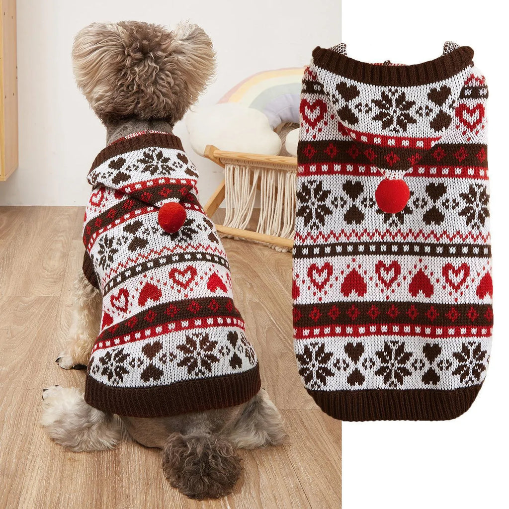 Pink striped dog sweater with snowflake and heart patterns on a small white Bichon