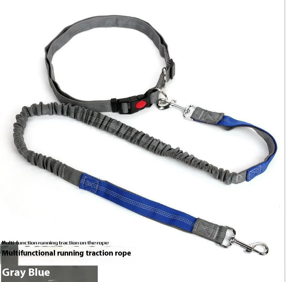 Grey and green reflective elastic dog running leash with a 2.5cm wide nylon strap.