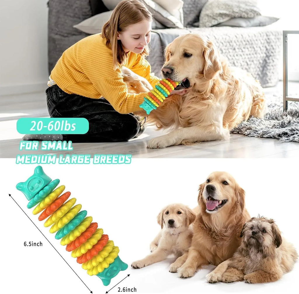 Blue green pink caterpillar shaped natural rubber dog chew toy on white background