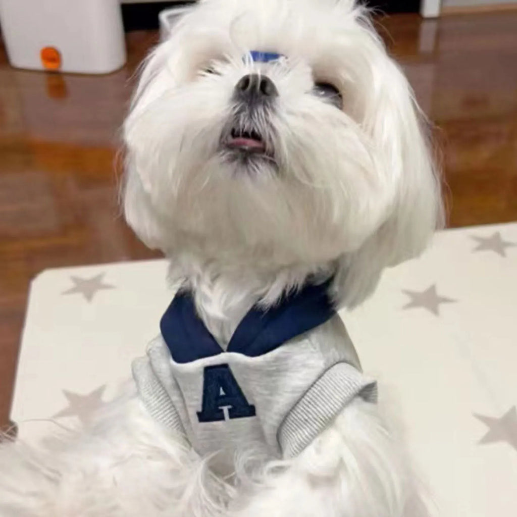 Blue slim-fit pet hoodie with reflective white letters on a dog, showing the hoodie's casual style and size.