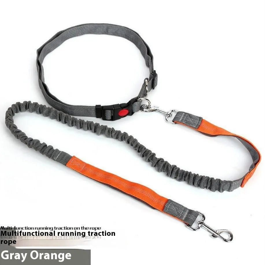 Grey and green reflective elastic dog running leash with a 2.5cm wide nylon strap.