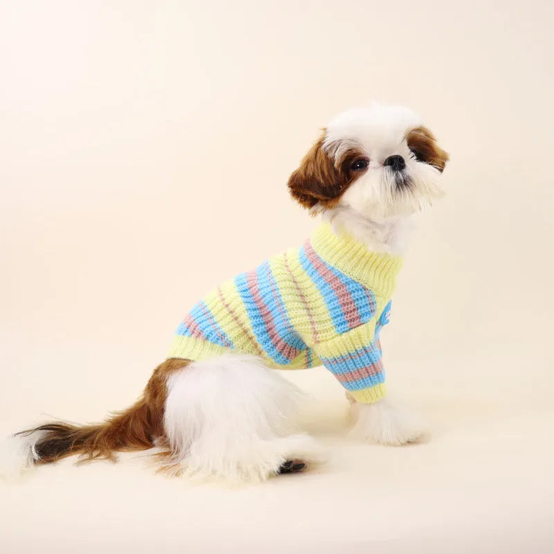 Blue and yellow striped wool winter sweater for small dog breeds on mannequin
