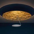 Iron ceiling lamp with warm LED lighting in 50 cm diameter