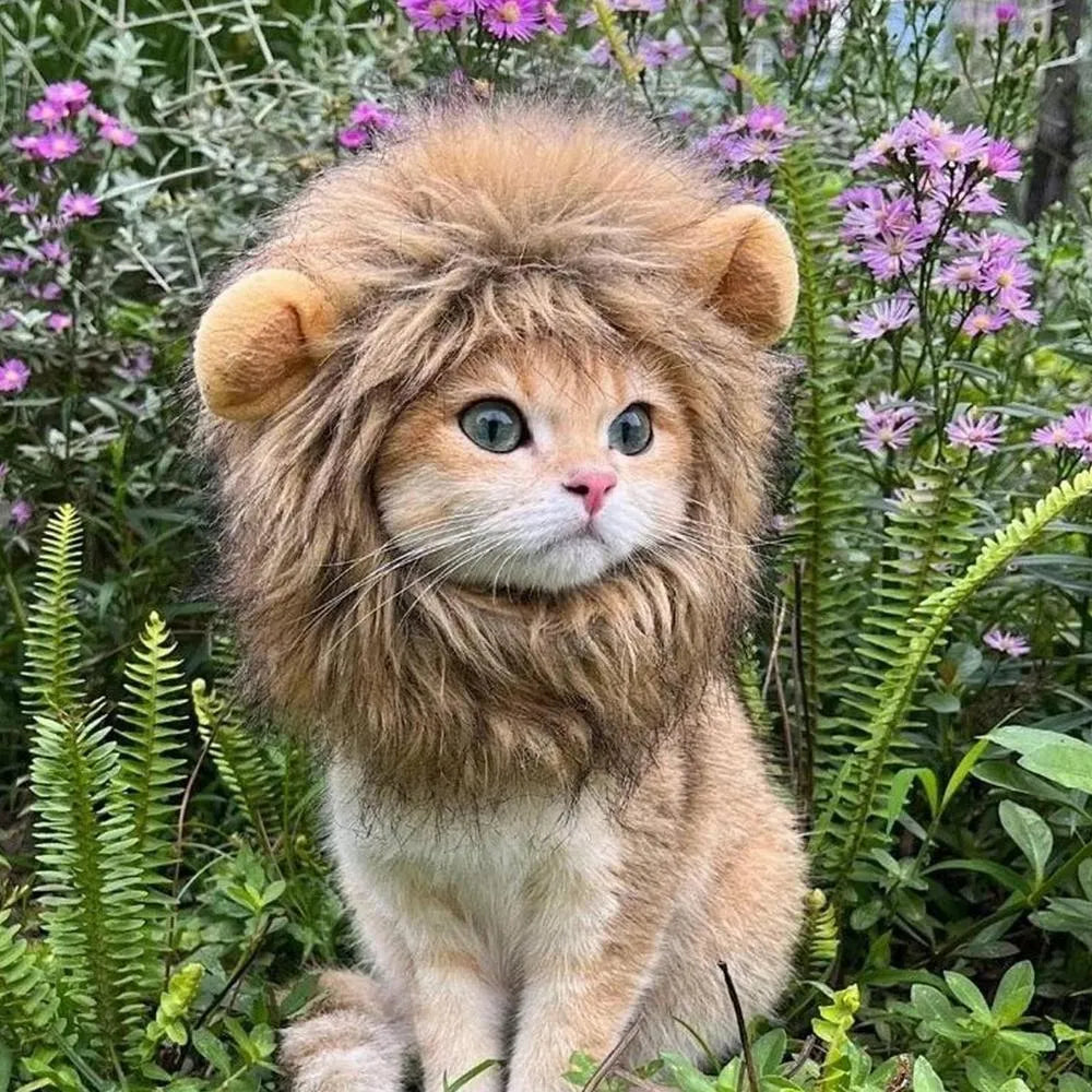 Adjustable lion mane wig accessory on a cat, showing plush artificial hair and elastic band.