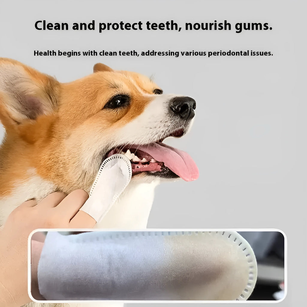 Pack of 50 white non-woven pet dental finger stalls for cleaning cat and dog teeth.