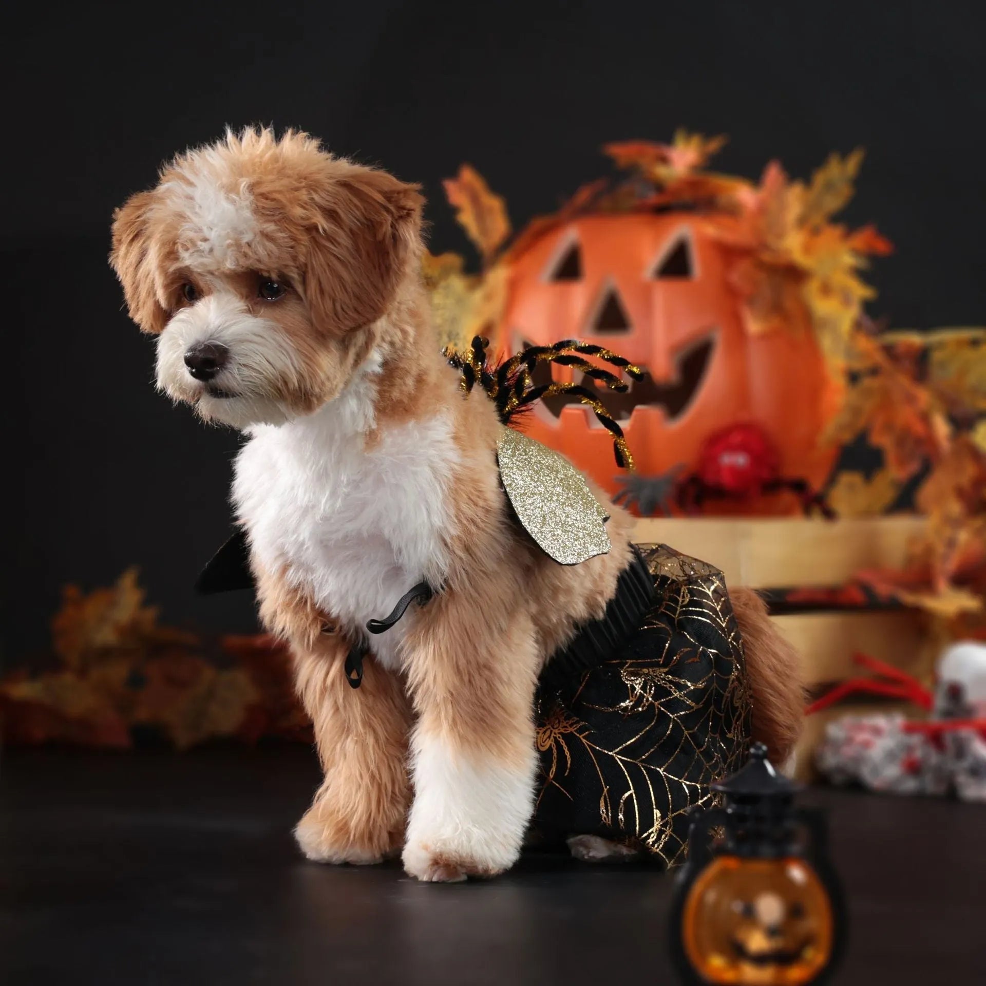 Dog wearing polyester Halloween costume suit in suit colour, available in S M L XL sizes