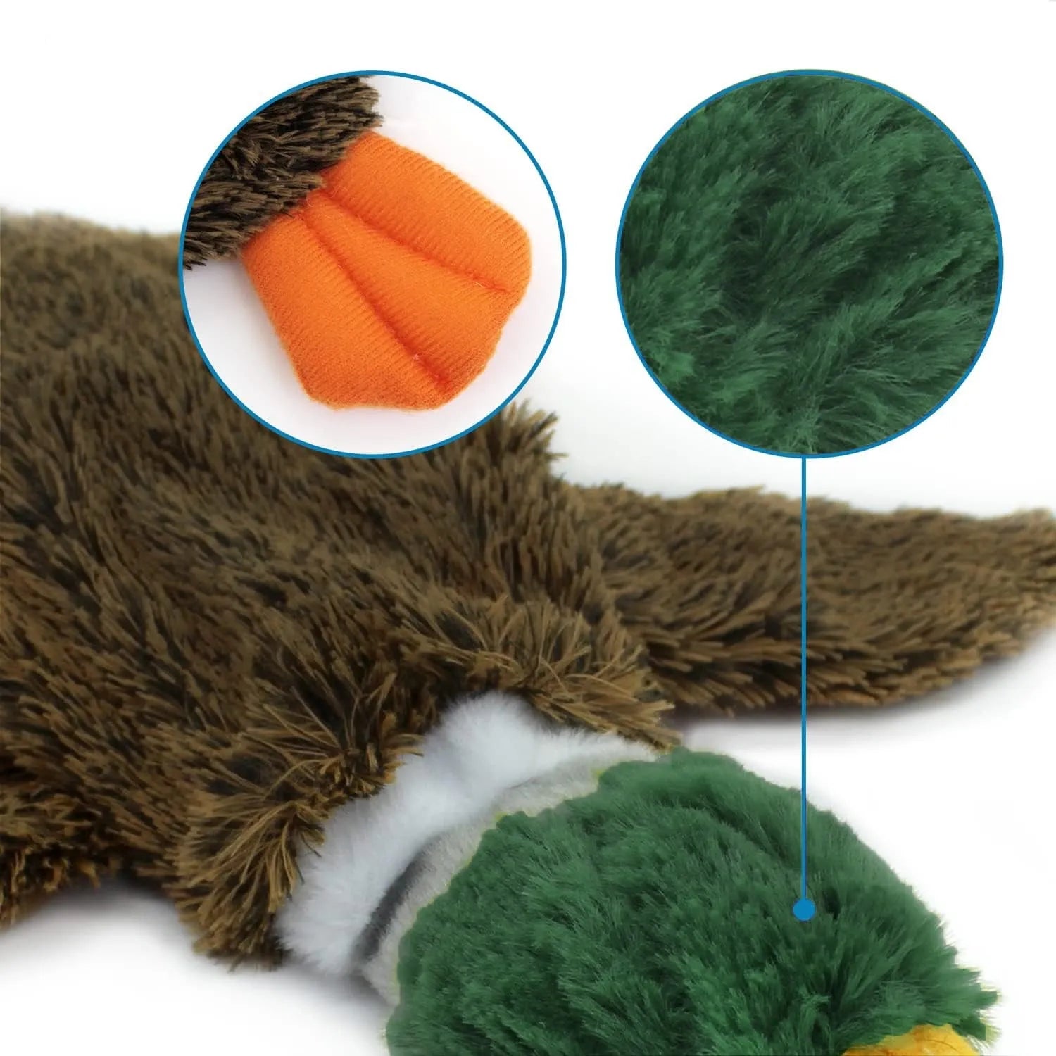 Green wild duck stuffless dog toy with squeakers and bottom opening for bottle insertion