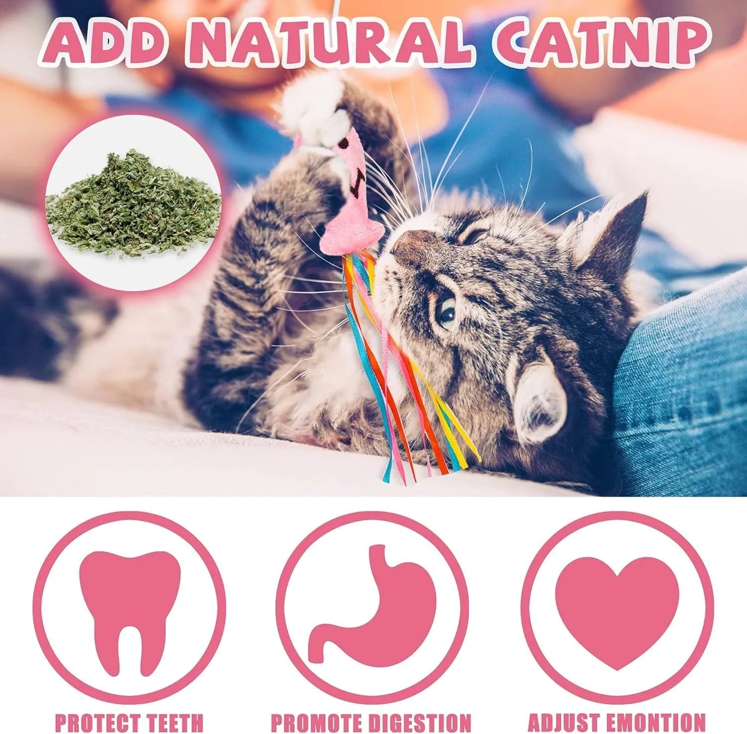 Colourful cat wand toy with ribbons, catnip fish, and bell on a wooden handle.