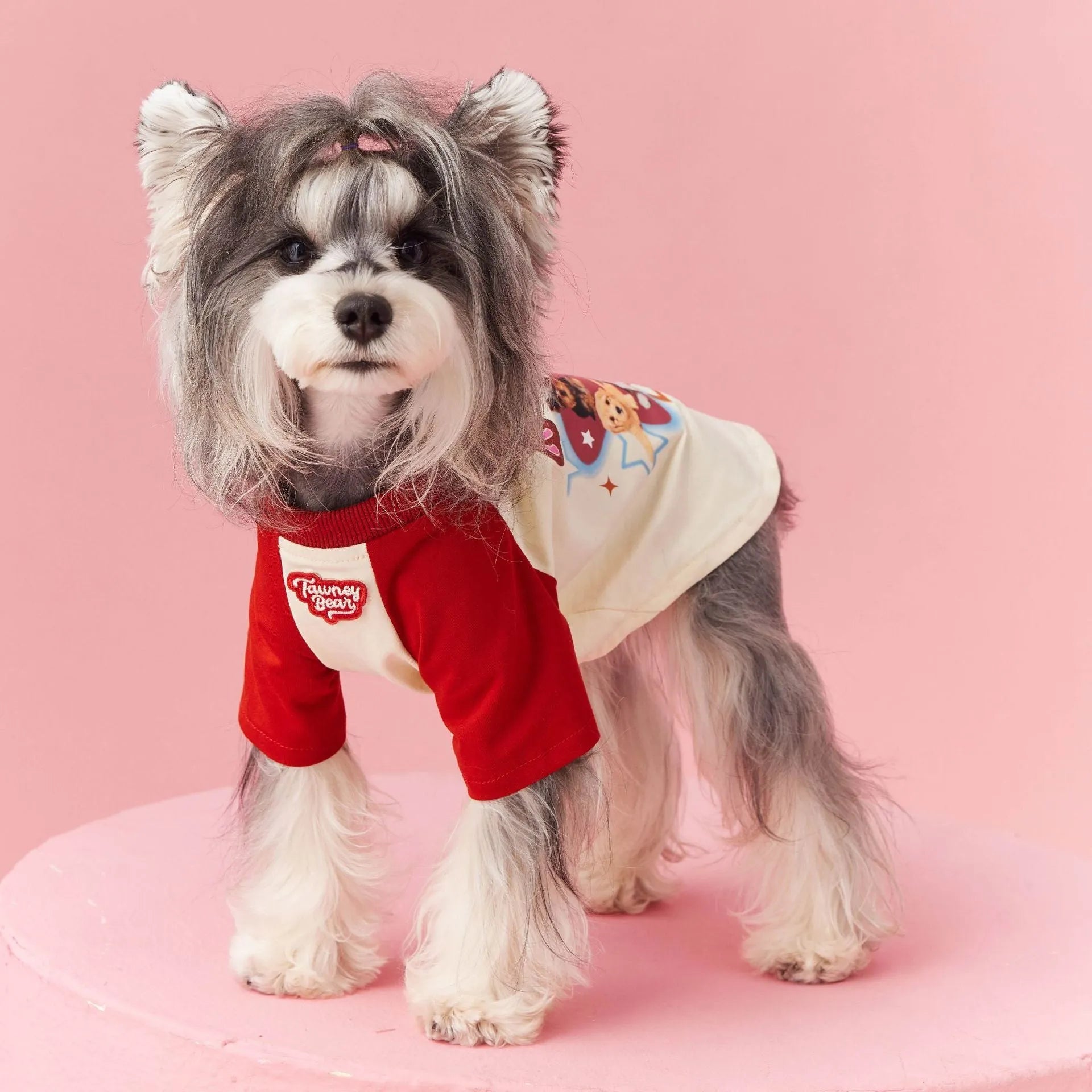 Red embroidered cotton summer outfit for a dog in size L.