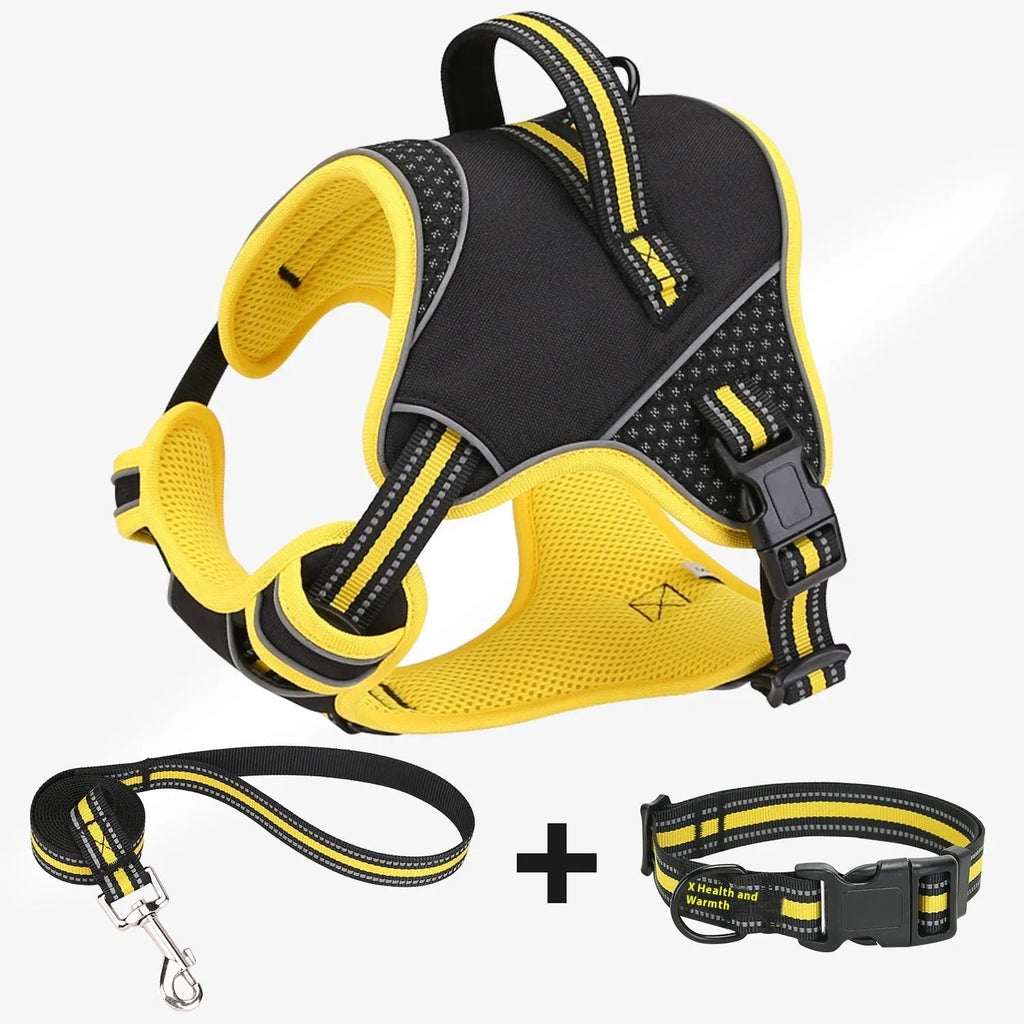 Orange polyester dog harness with integrated training lead shown in outdoor setting