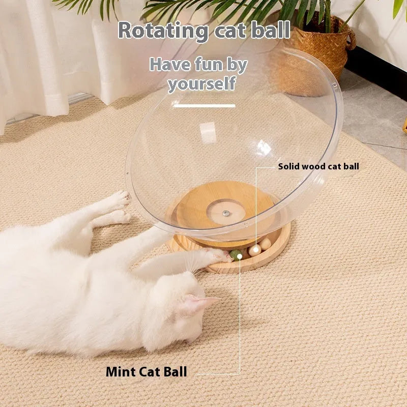Transparent acrylic space capsule bathtub cat bed on a white background