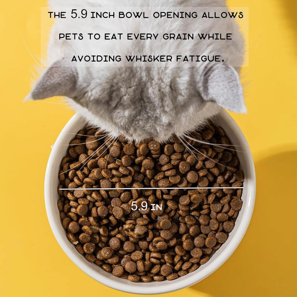 Raised ceramic cat bowl with animal theme design showing 4.92 inch elevation and 15cm diameter