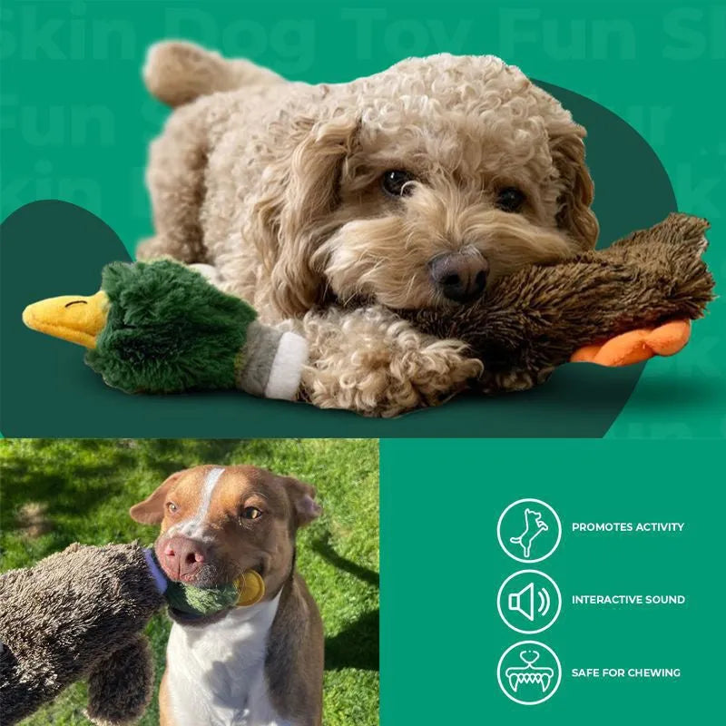 Green wild duck stuffless dog toy with squeakers and bottom opening for bottle insertion