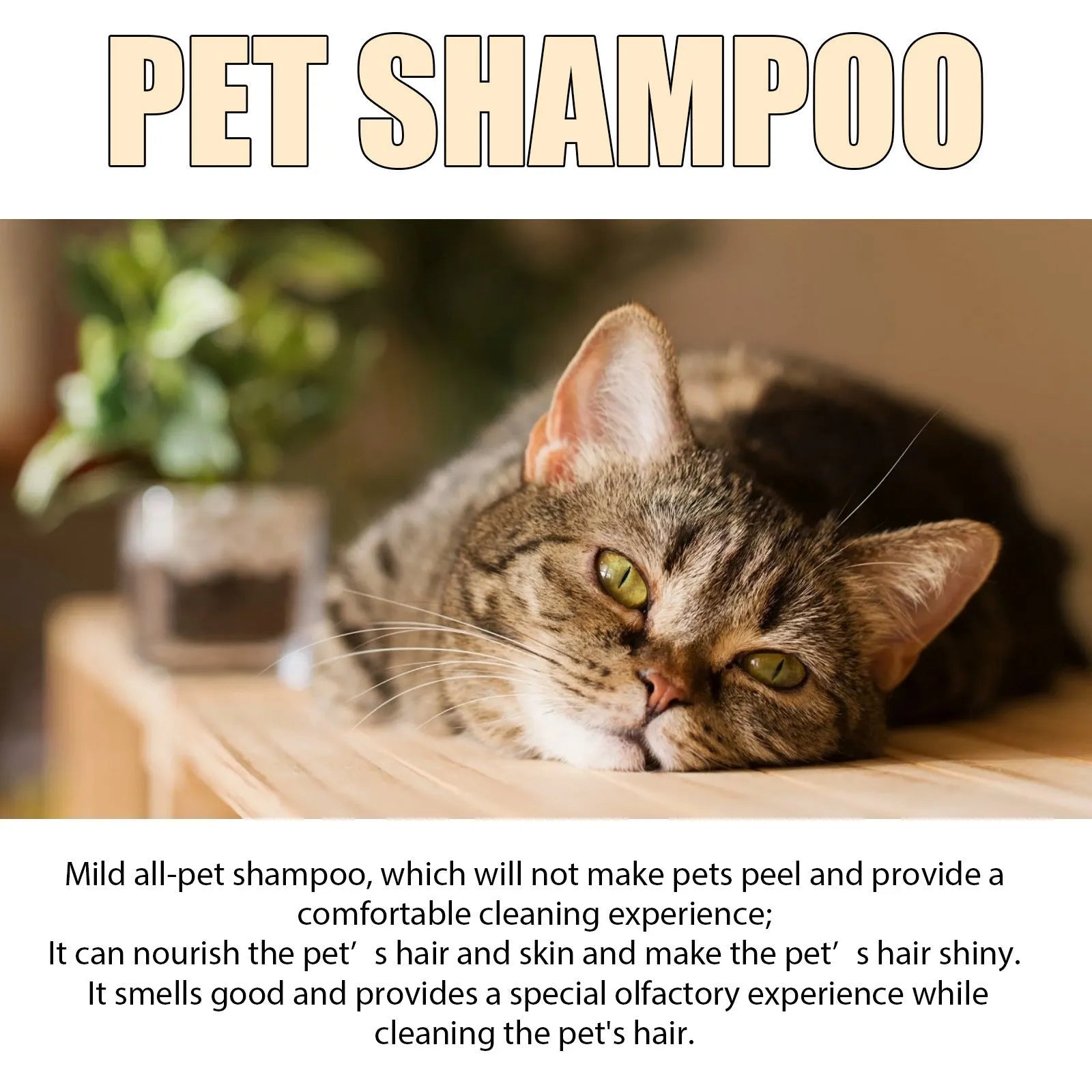Bottle of mild pet shampoo for cats and dogs, shown in 100ml and 300ml sizes.