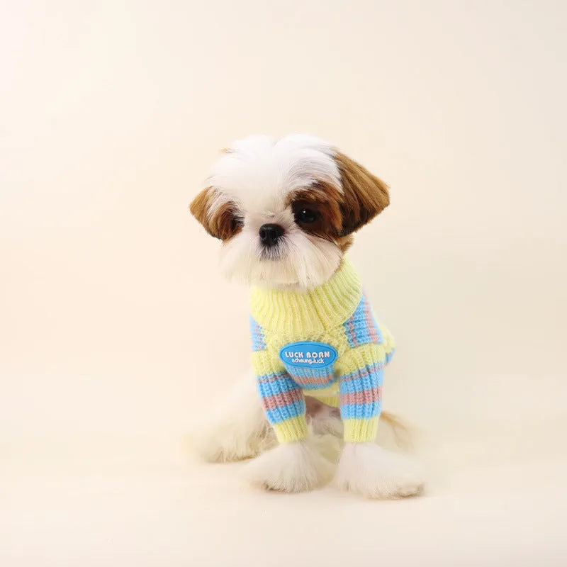 Blue and yellow striped wool winter sweater for small dog breeds on mannequin