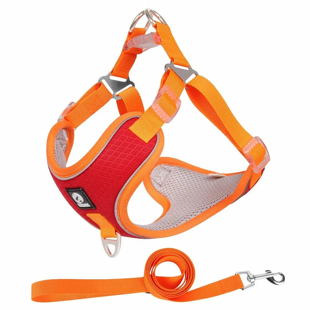 Adjustable breathable mesh dog harness with reflective trim in multiple colour options